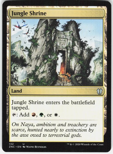 Jungle shrine 132 - jungle,