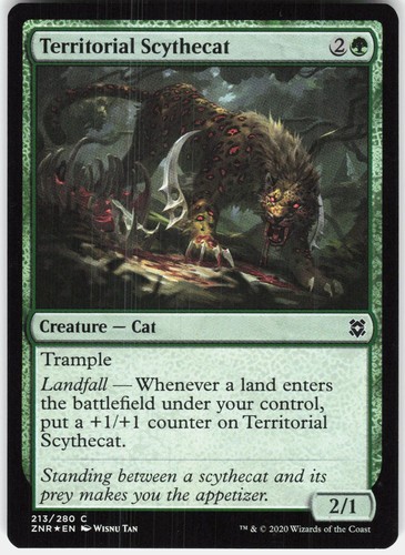 Territorial scythecat common - territorial,