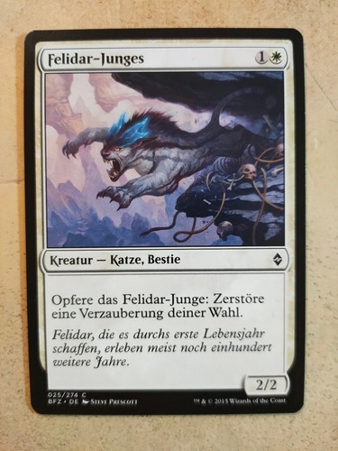 Felidar junges mtg - mtg, the