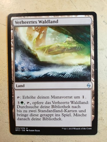 Verheertes waldland mtg - mtg, magic